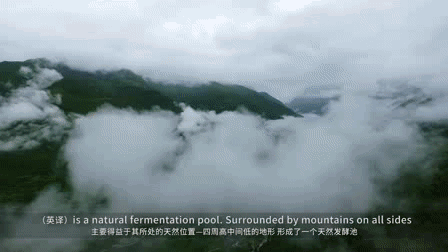 化身为舍得时光品鉴官，实力派演员王阳：舍得之间，方见人生