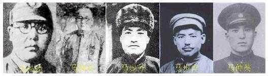 马仲英始末(西北五马之马仲英个人简介)