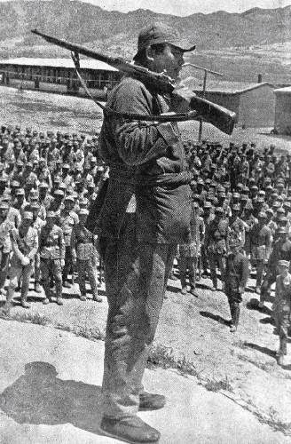 马仲英始末(西北五马之马仲英个人简介)