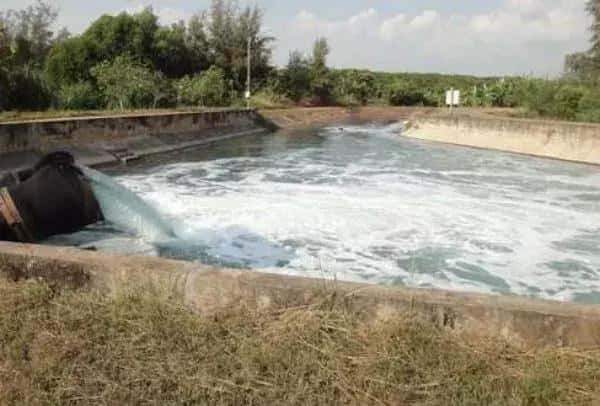 养虾需要什么条件-(养虾需要什么条件和技术)