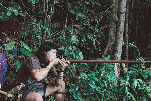 箭毒蛙的天敌是谁(箭毒蛙的天敌有哪些)