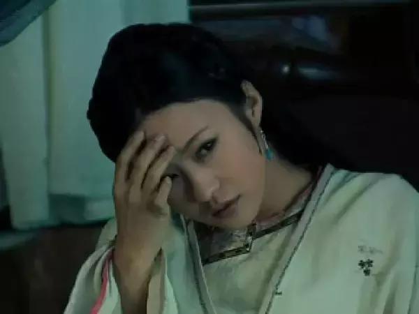 少年天子邓超霍思燕版电视剧(潘虹何塞金霍思燕邓超)(18)