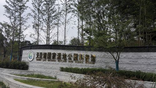 5.天目湖国家湿地公园