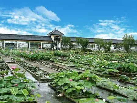 三、生态休闲景点