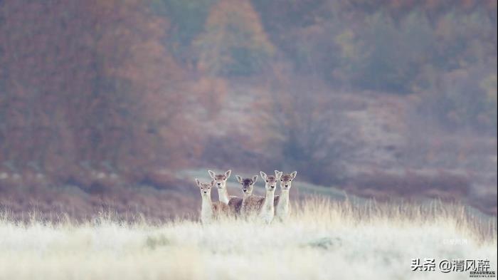 让女朋友感动流泪的话(感动异地恋女朋友的暖心话)