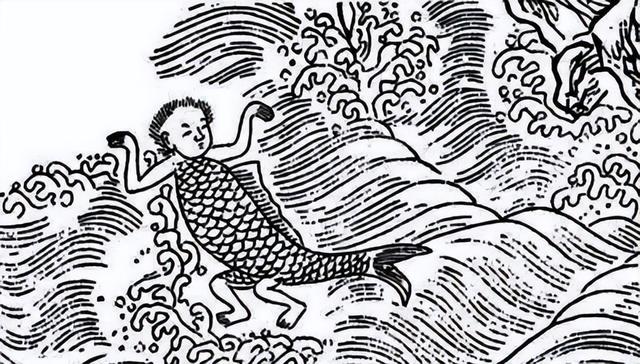 娃娃鱼是人类祖先吗(山海经现存物种之一)(1)