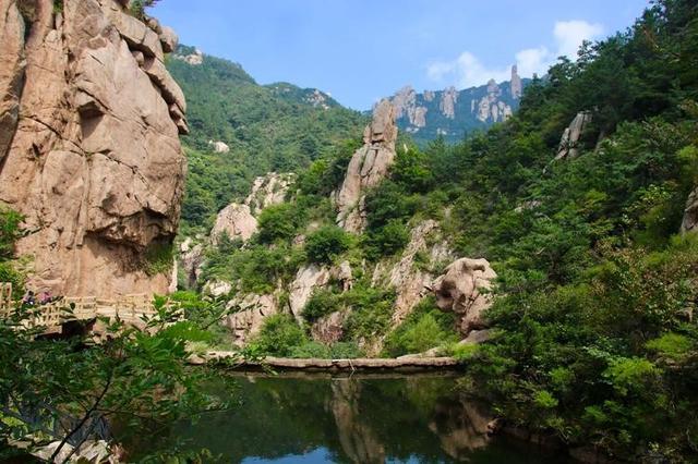 娃娃鱼是人类祖先吗(山海经现存物种之一)(5)