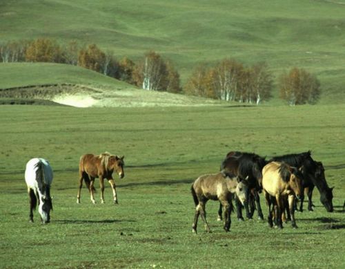 大于500米的地形(大于500m的文件微信如何发送)-第1张图片-