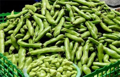 ​立夏吃变成了立冬吃，首批云南蚕豆苏州上市