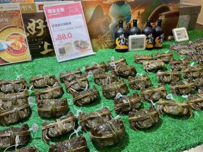 ​会稽山12年花雕多少钱(会稽山花雕多少度)