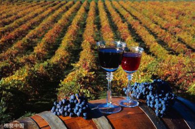 ​做果酒怎么添加果胶酶？果胶酶在果酒中的用量