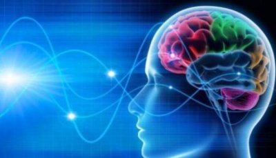 ​自然醒后为什么大脑会清爽原来是因为大脑有这个功能