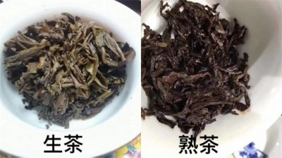 ​普洱茶生茶与熟茶哪个更好?普洱生茶与熟茶的区别和功效?