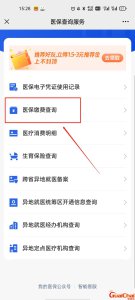 ​医保卡查询个人账户明细怎么查询手机？医保卡查询个人账户明细怎么查询余额