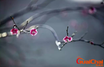 ​“疏影横斜水清浅，暗香浮动月黄昏”的全诗 作者