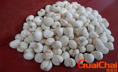 ​川贝的作用与功效及副作用 川贝的作用与功效禁忌