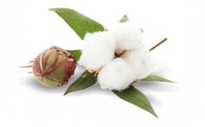 ​棉花做的衣服能水洗吗