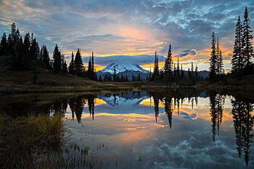 华盛顿为何要主动交出政权?这背后的真正原因是什么?