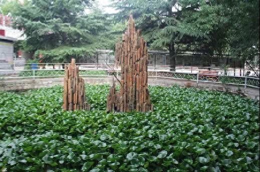 8月5日潍坊奎文实验初中乔迁新址