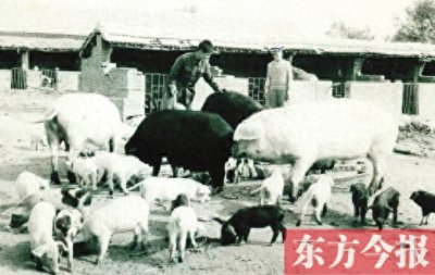 ​有一个“朝圣地”叫回郭镇