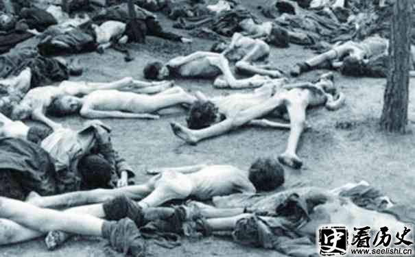二战苏军暴行照片