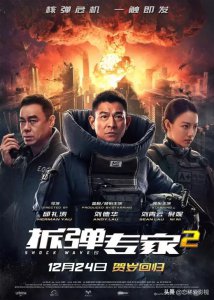 ​中国好看的动作犯罪电影有哪些（15部国内动作犯罪电影推荐）