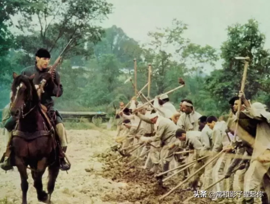 摩根弗里曼有哪些经典的电影（盘点摩根·弗里曼的10部经典电影）