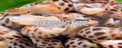 ​花螺所有的部位都能吃吗 花螺什么部位不能吃视频