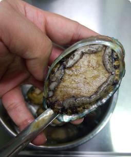 鲍鱼怎么吃简单又营养 餐桌上的美食 鲍鱼怎么吃简单又营养 餐桌上的美食