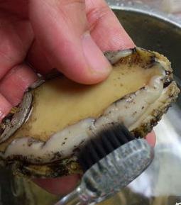 鲍鱼怎么吃简单又营养 餐桌上的美食 鲍鱼怎么吃简单又营养 餐桌上的美食