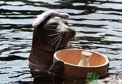 泡温泉需要注意什么?泡温泉注意事项 泡温泉需要注意什么?泡温泉注意事项