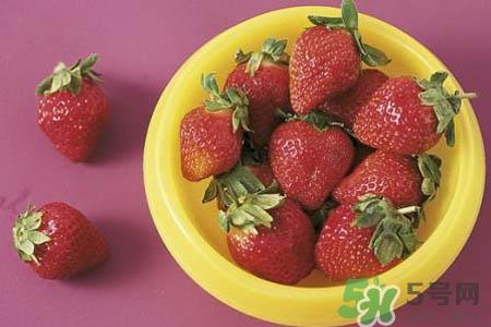 阳台上怎么种草莓?如何在阳台上种草莓? 阳台上怎么种草莓?如何在阳台上种草莓?