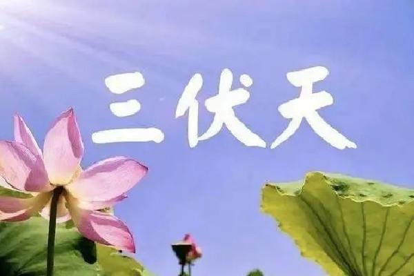 伏天有公伏和母伏之分吗 伏天有什么说法 伏天有公伏和母伏之分吗 伏天有什么说法