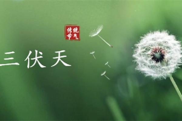 伏天有公伏和母伏之分吗 伏天有什么说法 伏天有公伏和母伏之分吗 伏天有什么说法