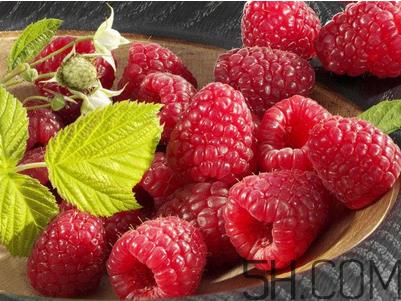 覆盆子的作用有哪些?覆盆子和桑葚哪个好吃? 覆盆子的作用有哪些?覆盆子和桑葚哪个好吃?