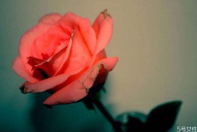 ​暧昧期断联后男生会想你吗 女人主动断联的好处