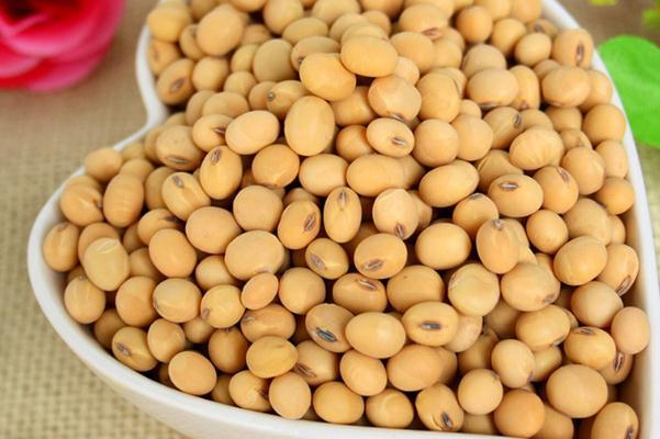 黄豆是粗粮吗 黄豆要剥皮吗 黄豆是粗粮吗 黄豆要剥皮吗