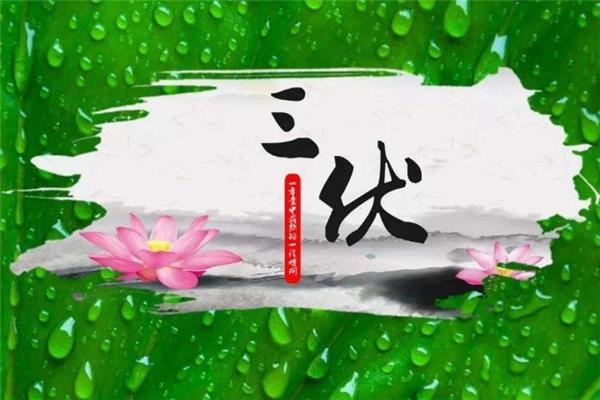 三伏天不能喝冰水吗 三伏天喝热水好吗 三伏天不能喝冰水吗 三伏天喝热水好吗