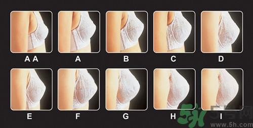 a罩杯摸起来怎么样?a罩杯摸起来像什么 a罩杯摸起来怎么样?a罩杯摸起来像什么