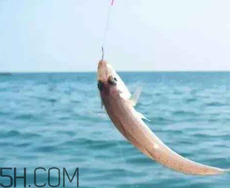 立冬后还好钓鱼吗 立冬前后钓鱼技巧 立冬后还好钓鱼吗 立冬前后钓鱼技巧