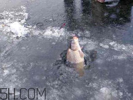 立冬后还好钓鱼吗 立冬前后钓鱼技巧 立冬后还好钓鱼吗 立冬前后钓鱼技巧