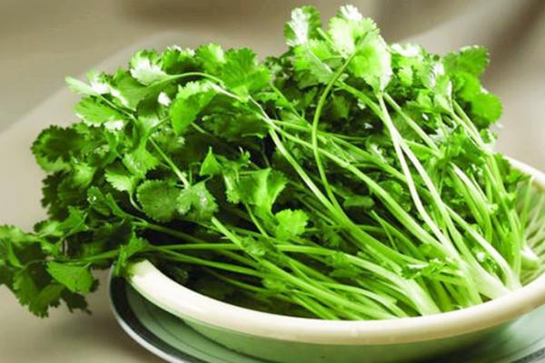 香菜如何选购 香菜如何长期保存 香菜如何选购 香菜如何长期保存