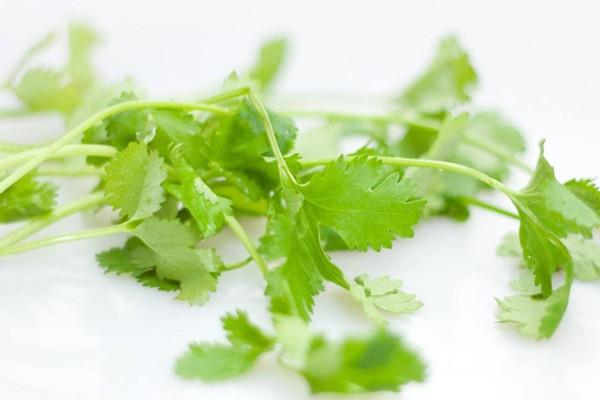 香菜如何选购 香菜如何长期保存 香菜如何选购 香菜如何长期保存