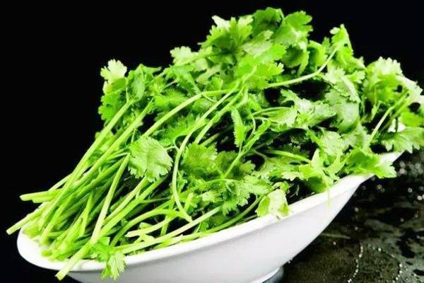 香菜如何选购 香菜如何长期保存 香菜如何选购 香菜如何长期保存