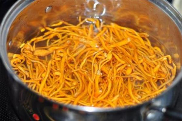 虫草花能长期吃吗 虫草花能长期泡水喝吗 虫草花能长期吃吗 虫草花能长期泡水喝吗