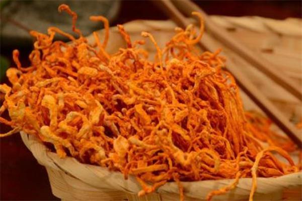 虫草花能长期吃吗 虫草花能长期泡水喝吗 虫草花能长期吃吗 虫草花能长期泡水喝吗