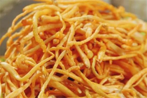 虫草花能长期吃吗 虫草花能长期泡水喝吗 虫草花能长期吃吗 虫草花能长期泡水喝吗