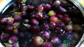 葡萄可以用盐水泡吗?为什么葡萄要放盐水里泡? 葡萄可以用盐水泡吗?为什么葡萄要放盐水里泡?