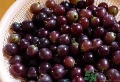 葡萄可以用盐水泡吗?为什么葡萄要放盐水里泡? 葡萄可以用盐水泡吗?为什么葡萄要放盐水里泡?