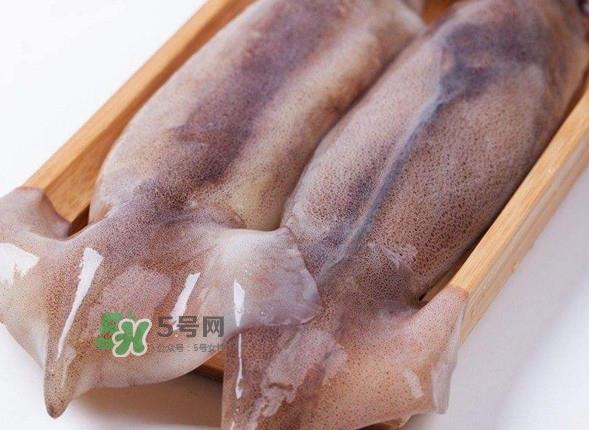 新鲜鱿鱼怎么保存?鱿鱼可以冷冻吗 新鲜鱿鱼怎么保存?鱿鱼可以冷冻吗